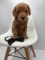 processed/28997156-e7e8-4771-a6c1-a7e8fa64bb2f/listing/82de31ae-474c-4286-aa11-c172dbdcb29d/28e23708-2ad6-4006-b97b-c070b402113f