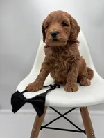 processed/28997156-e7e8-4771-a6c1-a7e8fa64bb2f/listing/82de31ae-474c-4286-aa11-c172dbdcb29d/de04c9d1-93f6-4a30-905d-4c33f362c74b