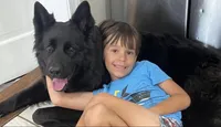 Princess, a female German Shepherd Dog for sale in Bridgeton, NJ – 7 of 7