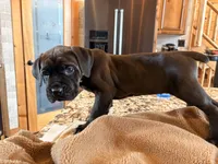 processed/289af228-21cd-40a4-94fa-ae19f327bf30/listing/334dc4f7-20d9-4921-af08-1998a916e52a/2b798826-11dc-451a-9649-e3a67d550829