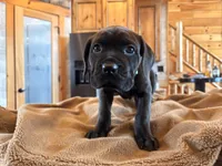 processed/289af228-21cd-40a4-94fa-ae19f327bf30/listing/334dc4f7-20d9-4921-af08-1998a916e52a/bea63165-658c-4b8a-bc20-fa0b24723fe5