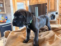 processed/289af228-21cd-40a4-94fa-ae19f327bf30/listing/334dc4f7-20d9-4921-af08-1998a916e52a/d46a545d-d5cf-43f6-9184-0028b2dd499e