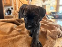 processed/289af228-21cd-40a4-94fa-ae19f327bf30/listing/334dc4f7-20d9-4921-af08-1998a916e52a/e1bfbf20-11e8-4ddc-8c92-aa343a328798