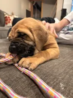 processed/289af228-21cd-40a4-94fa-ae19f327bf30/listing/46ec1db8-ab7d-4c8c-95ee-80cdaa851519/11483493-0418-4757-abc8-a4a1b7e66dd3