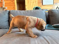 processed/289af228-21cd-40a4-94fa-ae19f327bf30/listing/46ec1db8-ab7d-4c8c-95ee-80cdaa851519/202dfbfa-0ce7-441e-8b41-ae7d6a65aaa9