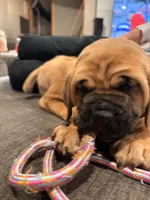 processed/289af228-21cd-40a4-94fa-ae19f327bf30/listing/46ec1db8-ab7d-4c8c-95ee-80cdaa851519/304dae78-fd0d-453d-a6cf-df07366d4870