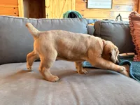 processed/289af228-21cd-40a4-94fa-ae19f327bf30/listing/46ec1db8-ab7d-4c8c-95ee-80cdaa851519/53e3a1ca-8e18-471e-bfc4-fe57db30881c