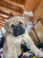 processed/289af228-21cd-40a4-94fa-ae19f327bf30/listing/46ec1db8-ab7d-4c8c-95ee-80cdaa851519/6781e349-2ce4-4aac-8eae-b93a06ba06ad