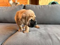 processed/289af228-21cd-40a4-94fa-ae19f327bf30/listing/46ec1db8-ab7d-4c8c-95ee-80cdaa851519/9ca72d75-1371-4192-8015-a32f438d833d