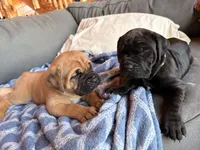 processed/289af228-21cd-40a4-94fa-ae19f327bf30/listing/68ac87f2-21d0-49be-8b65-d9f8837c871e/1d0076a0-263c-42a3-8755-b526074c2e21