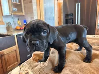 processed/289af228-21cd-40a4-94fa-ae19f327bf30/listing/68ac87f2-21d0-49be-8b65-d9f8837c871e/26e70d9a-c449-43c2-b999-54f54c83b0f7