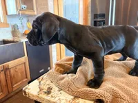 processed/289af228-21cd-40a4-94fa-ae19f327bf30/listing/68ac87f2-21d0-49be-8b65-d9f8837c871e/84c29cc9-133d-40f2-b71e-4e4d9043787f