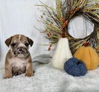 processed/28ad19a9-8416-4cd8-b61a-840e96ee7078/listing/091a32f8-06ab-403f-b1e9-9452aaddb60e/5f525132-f661-453a-ae92-5077b61bf00b