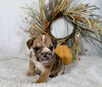 processed/28ad19a9-8416-4cd8-b61a-840e96ee7078/listing/091a32f8-06ab-403f-b1e9-9452aaddb60e/a04c5c42-0139-44aa-88fc-1ea8506b3c9c