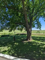 processed/28b030d8-ad02-448a-b1e1-aa4f503c8c03/facility/bce8fe8d-85fe-4e9c-9a25-212423eb09c0