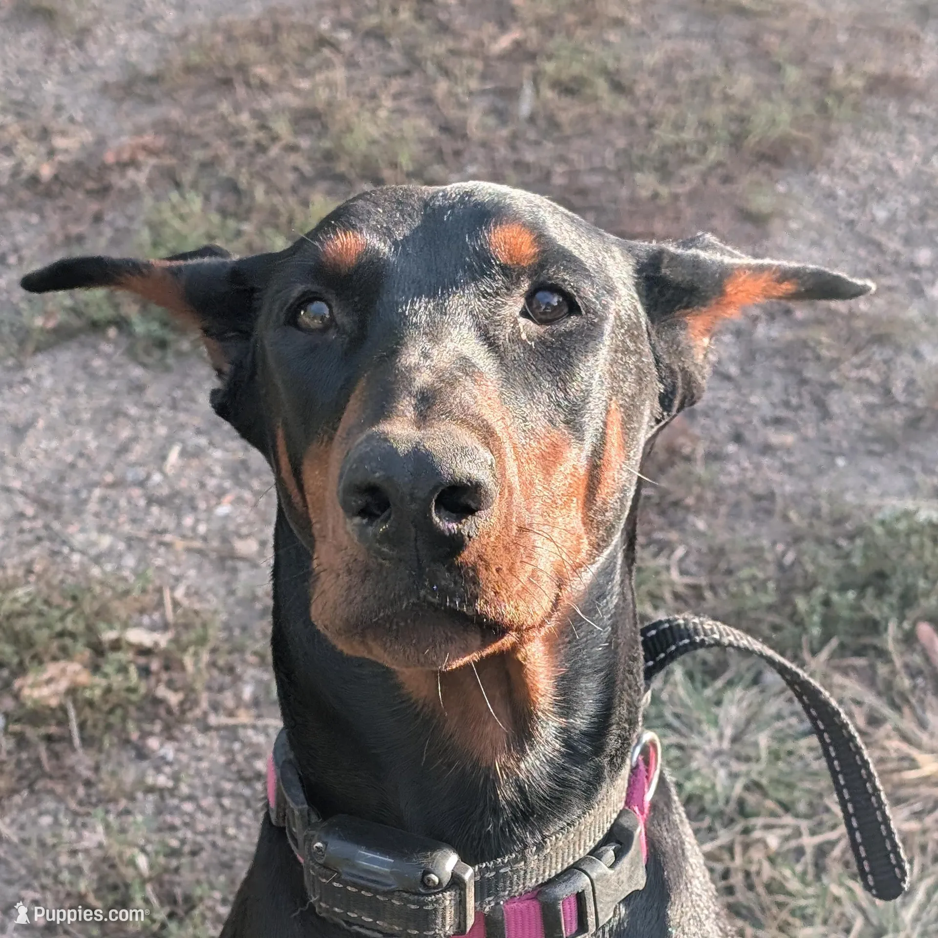 processed/28b030d8-ad02-448a-b1e1-aa4f503c8c03/listing/d7abd863-20c0-4175-a6e1-f7cfd6733e09/b24024a2-e5f4-40b8-8e85-32cfb0343618