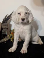 processed/28b030d8-ad02-448a-b1e1-aa4f503c8c03/listing/f6714945-1867-430f-9096-ec98cf9aef6c/0eb0609f-dd64-41d1-8a8c-b1e20e1d1092