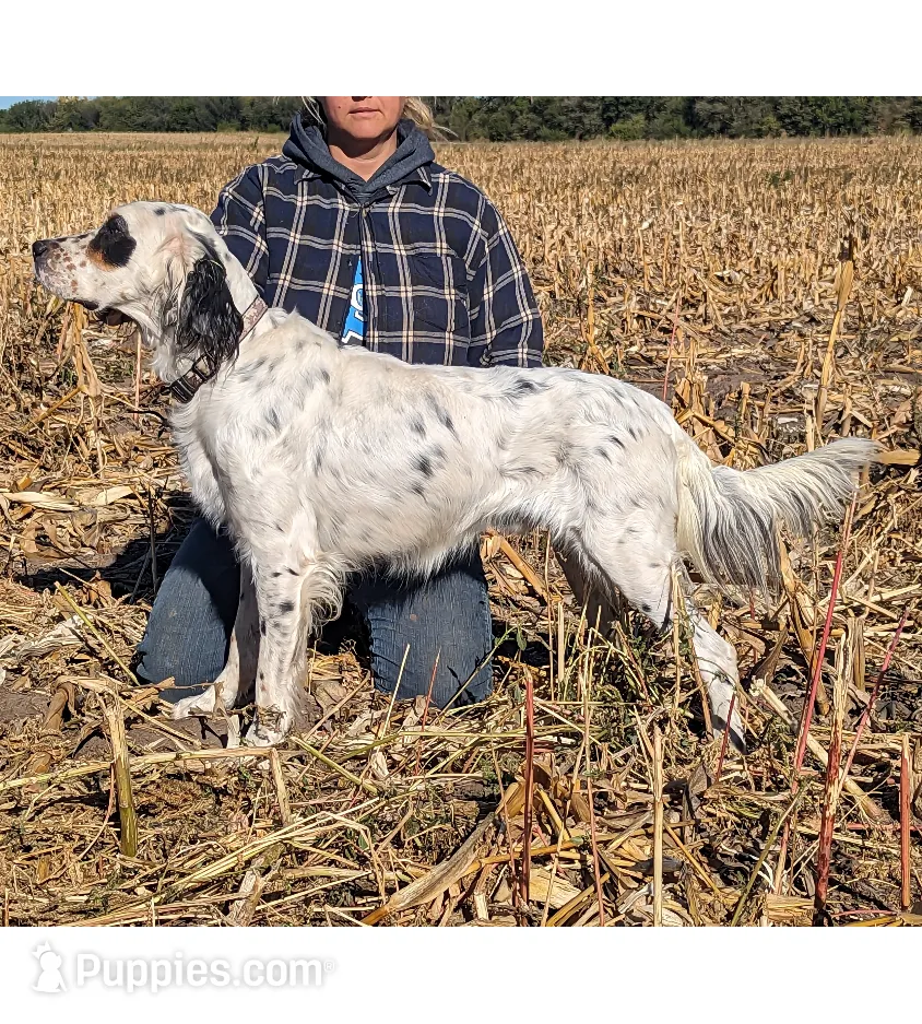 processed/28b030d8-ad02-448a-b1e1-aa4f503c8c03/listing/f6714945-1867-430f-9096-ec98cf9aef6c/112b4be9-fc93-4c43-bf61-780d77b24b49