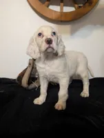 processed/28b030d8-ad02-448a-b1e1-aa4f503c8c03/listing/f6714945-1867-430f-9096-ec98cf9aef6c/46903e49-0c89-426e-9dfb-8279ed857f29