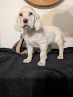 processed/28b030d8-ad02-448a-b1e1-aa4f503c8c03/listing/f6714945-1867-430f-9096-ec98cf9aef6c/5d80bdaa-3baa-4829-971d-7da6cf399366