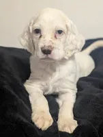 processed/28b030d8-ad02-448a-b1e1-aa4f503c8c03/listing/f6714945-1867-430f-9096-ec98cf9aef6c/6461736b-c7e5-4fde-8da3-e5786ac41efd