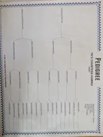 processed/28b030d8-ad02-448a-b1e1-aa4f503c8c03/listing/f6714945-1867-430f-9096-ec98cf9aef6c/65ec0ec2-919c-4cad-93bb-245b5929da9b