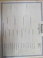 processed/28b030d8-ad02-448a-b1e1-aa4f503c8c03/listing/f6714945-1867-430f-9096-ec98cf9aef6c/7fa4e6b9-33a3-4c2d-9819-02431dd6e7ad