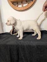 processed/28b030d8-ad02-448a-b1e1-aa4f503c8c03/listing/f6714945-1867-430f-9096-ec98cf9aef6c/c143df71-0ecc-487e-b641-fb186bac9f23