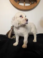 processed/28b030d8-ad02-448a-b1e1-aa4f503c8c03/listing/f6714945-1867-430f-9096-ec98cf9aef6c/ed6b88c2-717a-4d56-8f76-aec891cd022f