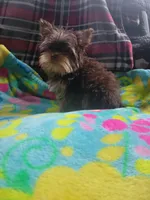 processed/28b15e18-0794-42b4-bcc2-927d327380e6/listing/497972e0-53a1-4997-a585-5782984e5bfc/4ed6cda9-2beb-4334-9a17-bb2f448432d7