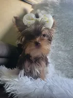 processed/28b15e18-0794-42b4-bcc2-927d327380e6/listing/497972e0-53a1-4997-a585-5782984e5bfc/5d1df045-8fe3-4b9b-8f41-13d56069897c