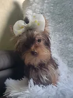 processed/28b15e18-0794-42b4-bcc2-927d327380e6/listing/497972e0-53a1-4997-a585-5782984e5bfc/73ad9fa2-b6ab-45f1-9b81-03dbd63ec67a