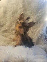 processed/28b15e18-0794-42b4-bcc2-927d327380e6/listing/497972e0-53a1-4997-a585-5782984e5bfc/8ffb5a42-c183-46d0-9c3e-cdd71c37beb6