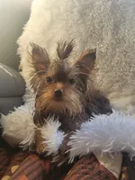 processed/28b15e18-0794-42b4-bcc2-927d327380e6/listing/497972e0-53a1-4997-a585-5782984e5bfc/a0f66ed6-fc82-4ee6-92c9-9e72b469fad9