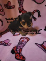 processed/28b15e18-0794-42b4-bcc2-927d327380e6/listing/75e60c4d-dba7-4cfc-81ff-0239e4ac13d6/4c5a3296-59fc-4a21-a395-7f89fc83bd4f