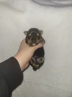 processed/28b15e18-0794-42b4-bcc2-927d327380e6/listing/75e60c4d-dba7-4cfc-81ff-0239e4ac13d6/61a89089-ef6b-4c16-86a6-c3f847a40c64