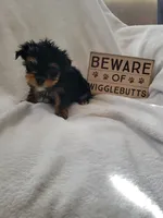 processed/28b15e18-0794-42b4-bcc2-927d327380e6/listing/75e60c4d-dba7-4cfc-81ff-0239e4ac13d6/a978abb5-37cb-4b6f-ac29-63a84f5e9958