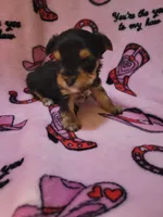 processed/28b15e18-0794-42b4-bcc2-927d327380e6/listing/75e60c4d-dba7-4cfc-81ff-0239e4ac13d6/af4d93ea-7ed9-4590-bdb1-2422f0478a08