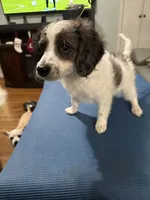 processed/28b16b11-3175-473b-895c-d55c16264c3c/listing/28d5827a-0f97-46d1-b6f0-85b208a519d6/4ca4a0f1-ae92-4d2d-8e3b-298fab9dec4f