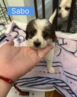 processed/28b16b11-3175-473b-895c-d55c16264c3c/listing/28d5827a-0f97-46d1-b6f0-85b208a519d6/4e07a06d-1d6b-448e-b43a-476af7b8d151