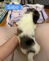 processed/28b16b11-3175-473b-895c-d55c16264c3c/listing/28d5827a-0f97-46d1-b6f0-85b208a519d6/87bb9ffb-c300-498d-ae51-67bd2e953100