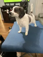 processed/28b16b11-3175-473b-895c-d55c16264c3c/listing/28d5827a-0f97-46d1-b6f0-85b208a519d6/ccbfd5d0-d9f0-4e99-8e58-3fe2e6814efe