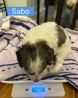 processed/28b16b11-3175-473b-895c-d55c16264c3c/listing/28d5827a-0f97-46d1-b6f0-85b208a519d6/ee73cd63-8ace-4e9f-8672-4d753bc480de