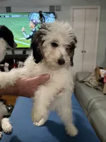 processed/28b16b11-3175-473b-895c-d55c16264c3c/listing/aef04cf8-24fb-41ef-a791-7e71ef986398/0bd9488d-9cb3-459a-b463-4301133e6466