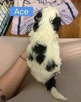 processed/28b16b11-3175-473b-895c-d55c16264c3c/listing/aef04cf8-24fb-41ef-a791-7e71ef986398/34370b04-6ef6-4730-b844-190f8f9c5b2a