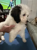 processed/28b16b11-3175-473b-895c-d55c16264c3c/listing/aef04cf8-24fb-41ef-a791-7e71ef986398/88c6085c-0ca3-46d3-9fec-1566287c130f