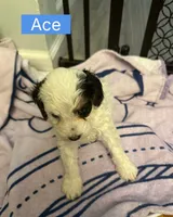 processed/28b16b11-3175-473b-895c-d55c16264c3c/listing/aef04cf8-24fb-41ef-a791-7e71ef986398/d6a40200-88b9-40ba-a296-9184a3fc2e85