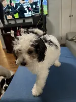 processed/28b16b11-3175-473b-895c-d55c16264c3c/listing/aef04cf8-24fb-41ef-a791-7e71ef986398/fe782b77-1f33-4f7f-b709-03c38359ae1b