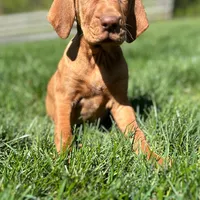 processed/28b8e4da-9588-4947-926f-68ec1526395e/facility/361663a4-6251-46da-bdf9-a86e3ec67636