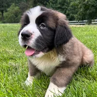 processed/28b8e4da-9588-4947-926f-68ec1526395e/facility/796f4297-c4cc-49ef-81e1-4e2053db9447